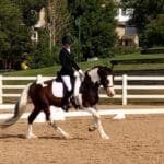 A person riding on the back of a horse.