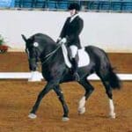 A person riding on the back of a black horse.