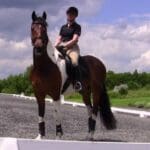 A person riding on the back of a horse.