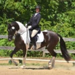 A person riding on the back of a horse.