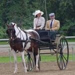 A man and woman riding in a horse drawn carriage.