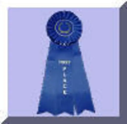 A blue ribbon with the words " first place ".