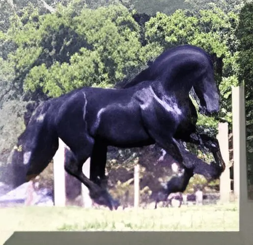 A black horse running in the grass.