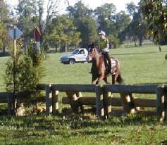 A person riding a horse jumps over a wooden fence in a grassy field with a white vehicle and trees in the background.