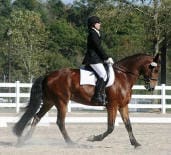 A person in equestrian attire rides a brown horse in a fenced outdoor arena, with trees in the background.