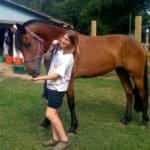 A person stands beside a brown horse, holding its lead and offering it food. They are outside near a blue building and other items.