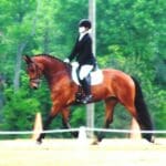 A person in equestrian gear is riding a brown horse on a grassy field with trees and traffic cones in the background.