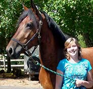 A person in a blue shirt holds the lead of a brown horse standing beside them. Green leafy trees are visible in the background.