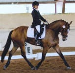 A rider in a black outfit performs dressage on a brown horse in an indoor arena.