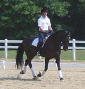 A person rides a dark horse in a dressage arena, with trees and a white fence in the background.