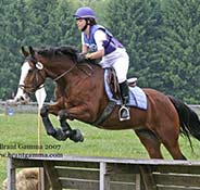 A horse and rider jump over a wooden fence during an equestrian event in an outdoor setting. Both wear protective gear, and the rider is dressed in a purple and white outfit. Trees are visible in the background.