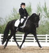 Equestrian rider in formal attire performing dressage on a black horse within an enclosed outdoor arena.