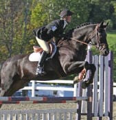 A person riding a horse mid-jump over an obstacle in an equestrian event, with trees in the background.