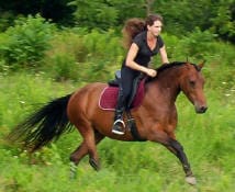 A person riding a brown horse at a fast pace through a grassy, wooded area.