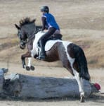 A person wearing a blue shirt and helmet is riding a horse, jumping over a wooden log in a grassy area.