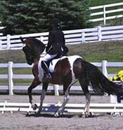 A horse and rider are seen performing dressage in an outdoor arena with white fencing and greenery in the background.