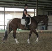 A person riding a dark brown horse with white markings inside an indoor riding arena.