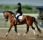 A rider in a black outfit and helmet is riding a brown horse with white markings inside an outdoor arena.