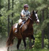 A person in equestrian gear rides a dark brown horse through a wooded area.