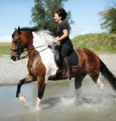 Person riding a brown and white horse through shallow water with some trees and grass in the background.