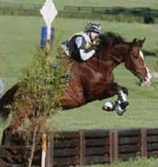 A rider on a brown horse is mid-jump over an obstacle during an equestrian event in a grassy field.