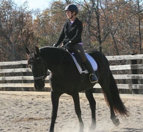 A person wearing a helmet and riding gear is riding a black horse in an outdoor arena with a wooden fence and trees in the background.