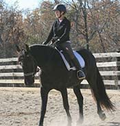 A person wearing a black helmet rides a black horse in an outdoor fenced area with trees in the background.