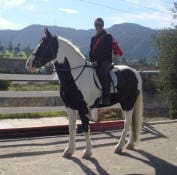 A person wearing a dark jacket and sunglasses rides a black and white horse on a sunny day with mountains in the background.