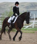 Person in formal riding attire on a dark horse, performing dressage in an outdoor arena with white fencing and hills in the background.