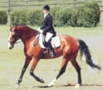 A person in formal riding attire is riding a brown horse in an outdoor setting.