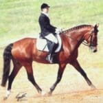 A person in formal equestrian attire rides a dark brown horse with braided mane in an outdoor setting.