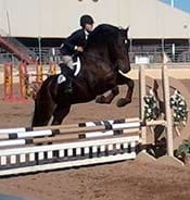 A rider on a black horse jumps over a white and black striped obstacle during an equestrian event.