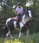 A person wearing a helmet rides a black and white horse in a forested area.