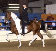 A person riding a brown and white horse in an indoor arena during a horse show.