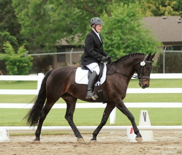 A person wearing a black coat and helmet is riding a dark brown horse in an outdoor equestrian arena.