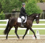 A person in equestrian attire is riding a dark brown horse in an outdoor arena with white fencing. Green trees and a house can be seen in the background.