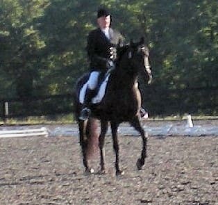 A person dressed in equestrian attire rides a dark horse in an outdoor arena with a backdrop of trees.