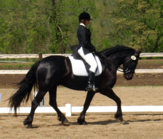 A person in equestrian attire riding a black horse in an outdoor dressage arena.