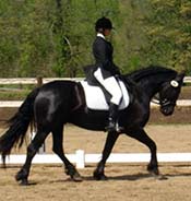 A rider dressed in formal equestrian attire is riding a black horse in an outdoor dressage arena.