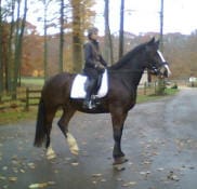 A person is riding a dark horse with a white saddle in a forested area during autumn.