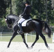 Rider dressed in formal attire riding a black horse in an outdoor arena during a dressage event. Trees and a fence are visible in the background.