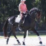 A person wearing a pink shirt and white cap is riding a black horse in an outdoor setting with trees in the background. The horse is equipped with white leg wraps and a white saddle pad.