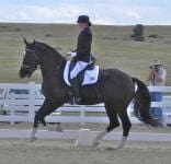 A person riding a black horse in a fenced outdoor area, wearing a black helmet, jacket, and white riding pants. Another person is seen in the background, holding a camera.