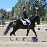 A person in equestrian attire riding a black horse in an outdoor dressage arena with trees and buildings in the background.