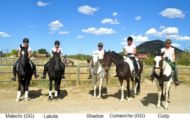 Five people are riding different colored horses in an open field on a clear day with blue skies and scattered clouds. A mountain is visible in the background.