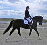 A rider wearing a black outfit and helmet is performing dressage on a black horse with white leg markings in an outdoor arena.