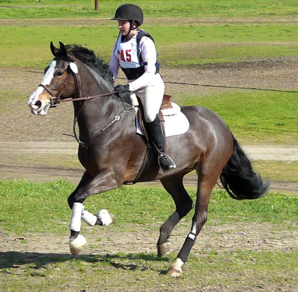 A person wearing riding gear and a helmet rides a brown horse with white markings on its legs and face, outside on a grassy field.