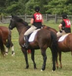 Two equestrians in numbered vests ride dark horses at an outdoor event, with more riders in the background and a wooden fence and trees in the distance.