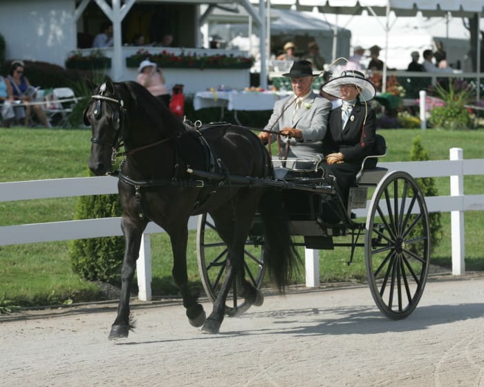 Two people ride in a horse-drawn carriage along a dirt path in a park, with spectators seated in the background.