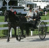 A black horse pulls a carriage with three passengers in historical attire. The carriage is on a gravel path, with white fences and buildings in the background.